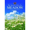 KNYGA Wilson Wall Secret Life of a Meadow