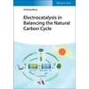 KNYGA Yaobing Wang Electrocatalysis in Balancing the Natural Carbon Cycle