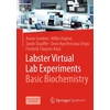 KNYGA Aaron Gardner Labster Virtual Lab Experiments: Basic Biochemistry