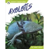 KNYGA Abby Doty Axolotls