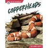 KNYGA Abby Doty Copperheads