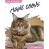 KNYGA Abby Doty Maine Coons