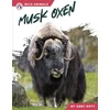 KNYGA Abby Doty Musk Oxen