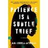 KNYGA Abi Ishola Ayodeji Patience Is a Subtle Thief