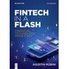 KNYGA Agustin Rubini Fintech in a Flash