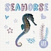 KNYGA Alex Brinded Seahorse