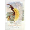 KNYGA Alfred Russel Wallace Malay Archipelago