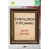 KNYGA Alun Davies Stori Sydyn: Tywyllwch y Fflamau