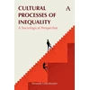 KNYGA Amanda Udis Kessler Cultural Processes of Inequality