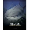 KNYGA Amber Books Sharks and Underwater Predators