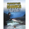 KNYGA Amie Jane Leavitt Swimming with Sharks
