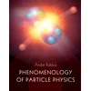 KNYGA Andre Rubbia Phenomenology of Particle Physics