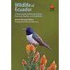 KNYGA Andres Vasquez Noboa Wildlife of Ecuador