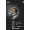KNYGA Andrew Hook Candescent Blooms