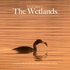 KNYGA Andrew Wilson Wild about The Wetlands
