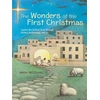 KNYGA Andy Mcguire Wonders of the First Christmas, Explore the Birth of Jesus through History, Archaeology, and Art