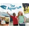 KNYGA Anne Giulieri Aquarium