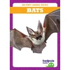 KNYGA Anthony Bats