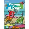 KNYGA Anthony William Prawns at Dawn