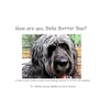 KNYGA Ashley Wenzel Gulden How are you, Bella Butter Boo?