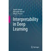KNYGA Ayush Somani Interpretability in Deep Learning