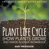 KNYGA Baby Professor Plant Life Cycle (How Plants Grow)