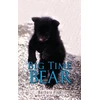 KNYGA Barbara Fisk Big Time Bear