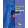 KNYGA Ben Greenstein Endocrine System at a Glance