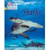 KNYGA Ben Hubbard Sharks