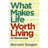 KNYGA Bernard Stiegler What Makes Life Worth Living