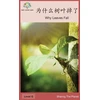 KNYGA Bookshop 为什么树叶掉了