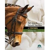 KNYGA Bookshop 50 Q&amp;A about Parasitic Infections of Horses