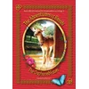 KNYGA Bookshop Adventures of Brindi - The Orphaned Fawn