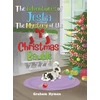 KNYGA Bookshop Adventures of Jesta - The Mystery of the Christmas Bauble