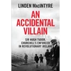 KNYGA Bookshop An Accidental Villain