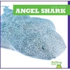 KNYGA Bookshop Angel Shark