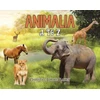 KNYGA Bookshop Animalia: A to Z