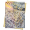 KNYGA Bookshop Annie Soudain: Pale Pilkas Day Greeting Card Pack
