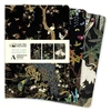 KNYGA Bookshop Ashmolean Museum Set of 3 Midi Notebooks