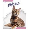KNYGA Bookshop Bengals