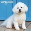 KNYGA Bookshop Bichon Frise Calendar 2026 Square Dog Breed Wall Calendar - 16 Month