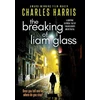 KNYGA Bookshop Breaking of Liam Glass