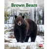 KNYGA Bookshop BROWN BEARS