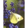 KNYGA Bookshop Butterfly Large Card Box