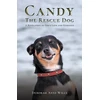 KNYGA Bookshop Candy the Rescue Dog