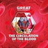KNYGA Bookshop circulation of blood