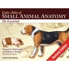 KNYGA Bookshop Color Atlas of Small Animal Anatomy