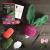 KNYGA Bookshop Crochet Your Veggies Amigurumi Kit Radish