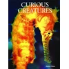 KNYGA Bookshop Curious Creatures