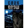 KNYGA Bookshop Dark Snow